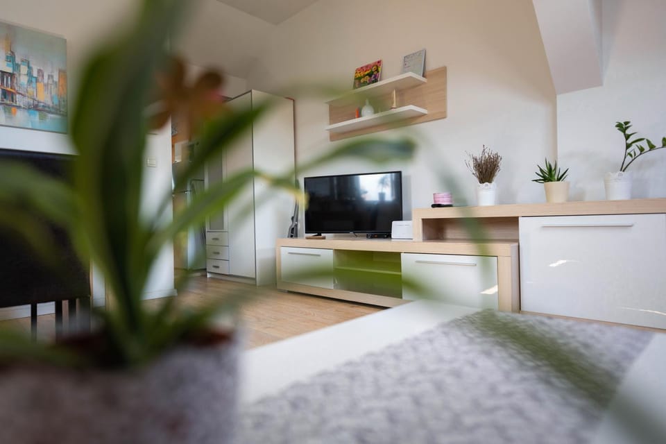 Apartment Andro, free garage near center Apartment in City of Zagreb