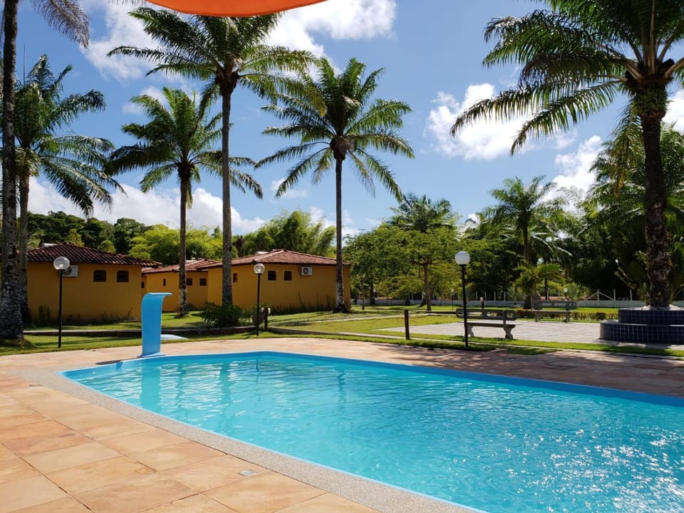 Day, Pool view, Swimming pool