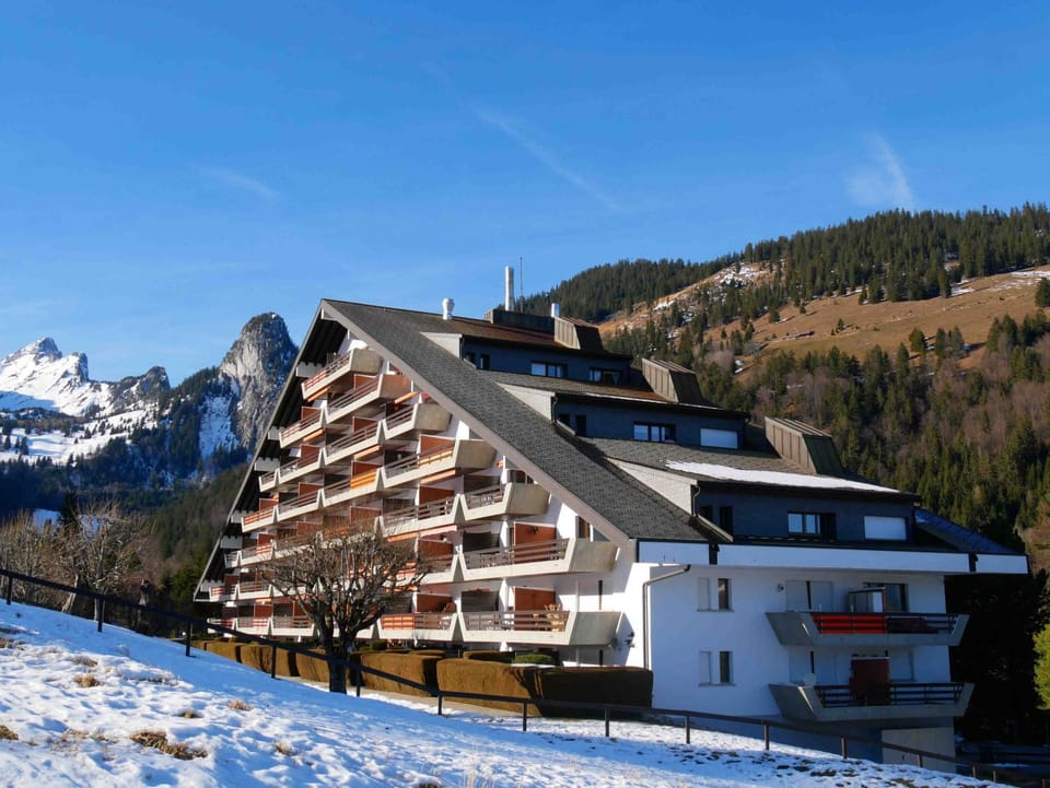 Property building, Winter