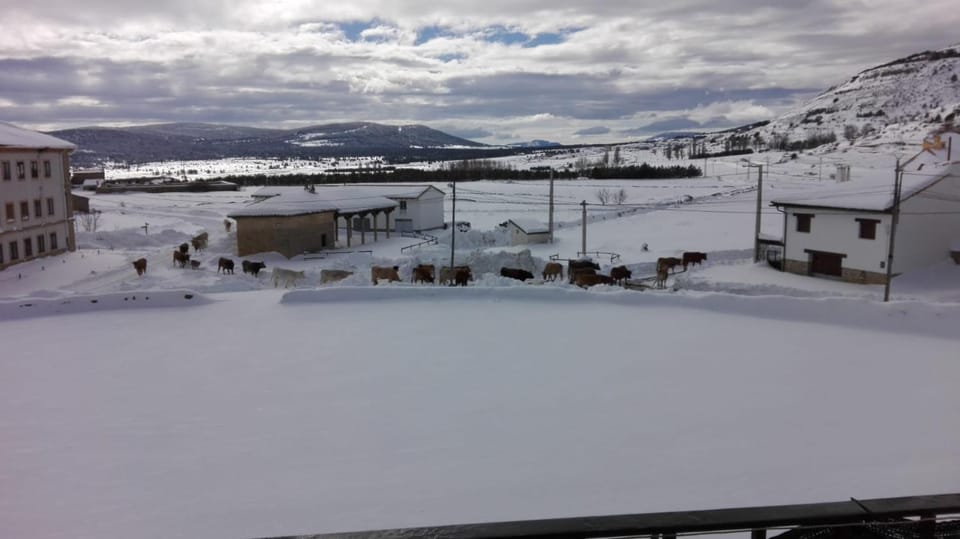 Neighbourhood, Winter, Mountain view