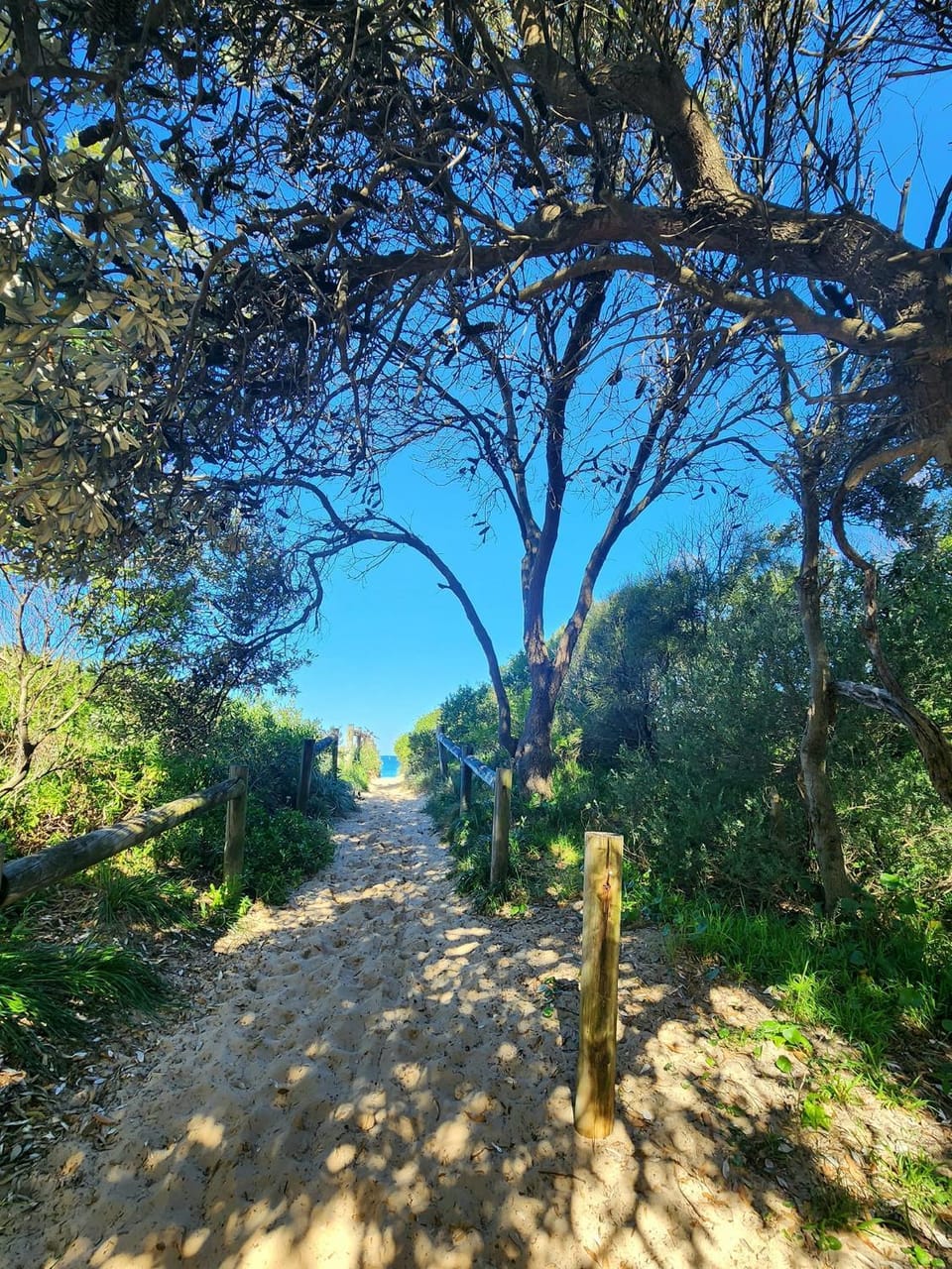 Natural landscape