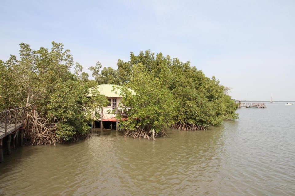 River view