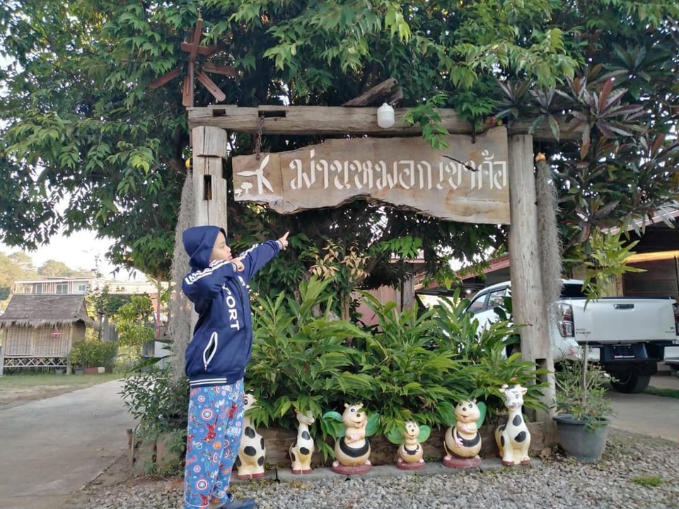 Maan Mork Khao Kho Bed and Breakfast in Laos