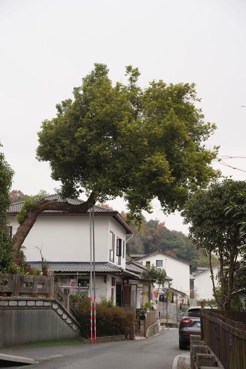 Property building, Neighbourhood, Natural landscape, Street view