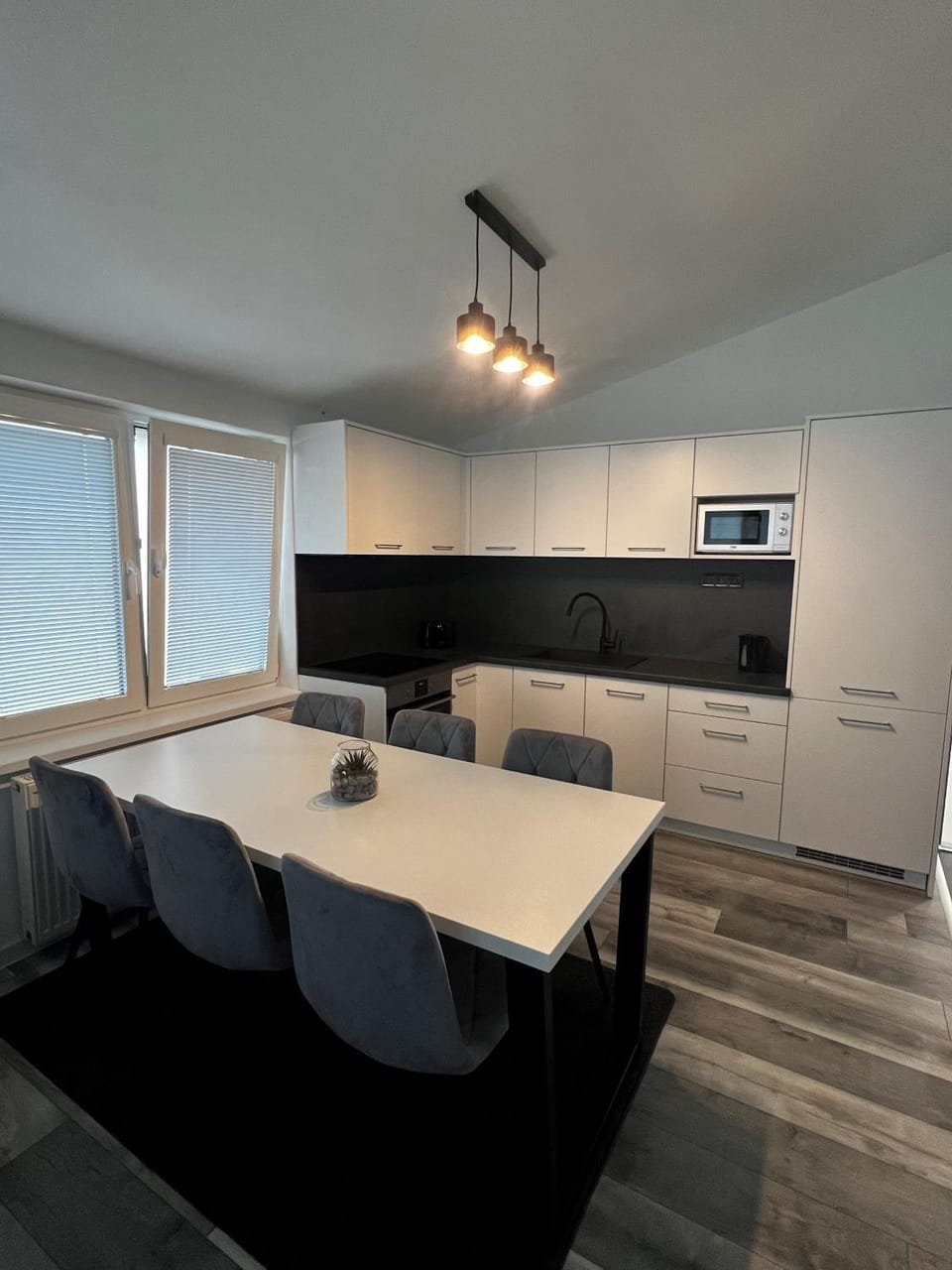 Kitchen or kitchenette, Dining area, minibar, pet friendly, stove