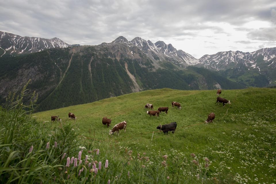 Grand Golliat Bed and Breakfast in Aosta Valley, Italy