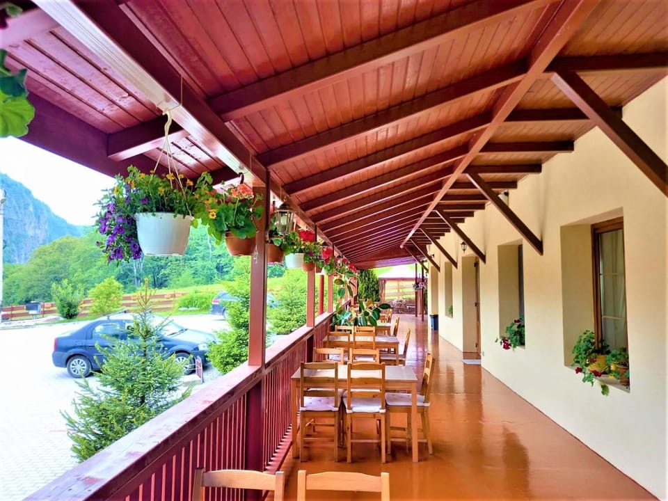 Balcony/Terrace, Garden view