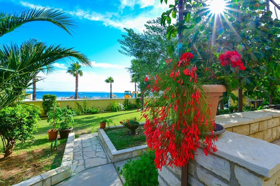 Patio, Garden, Garden view