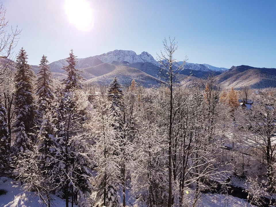 Mountain view