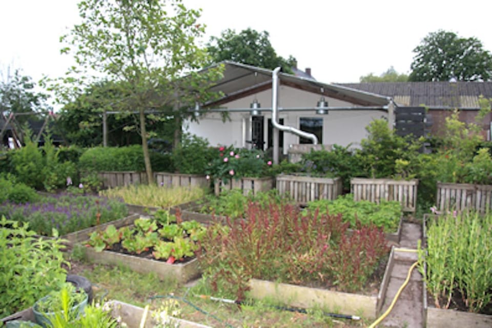 Patio, Natural landscape