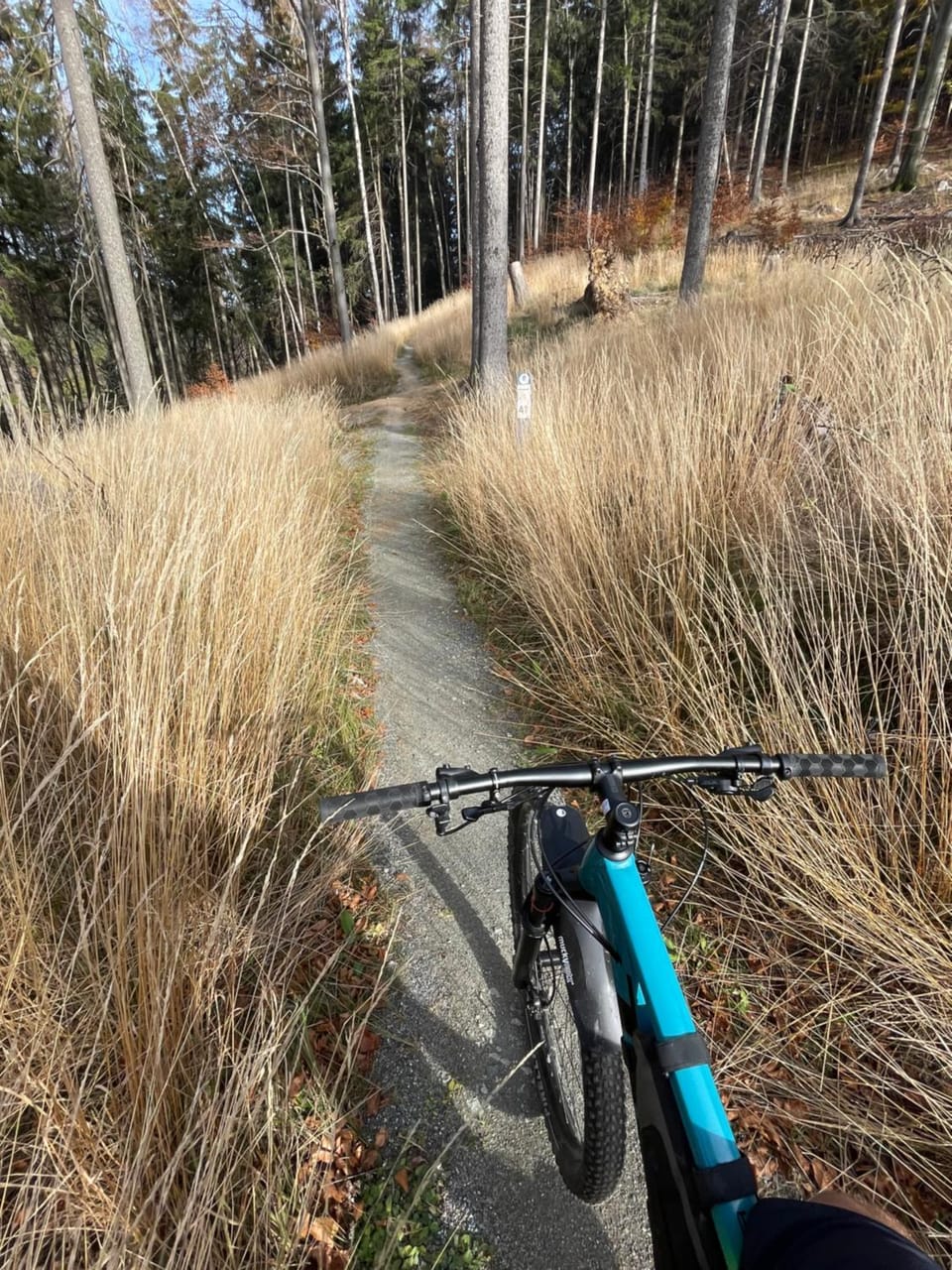 Cycling