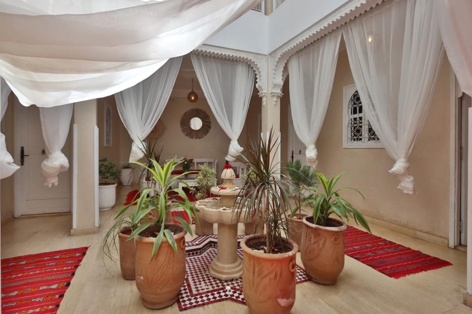Garden, Living room, Garden view