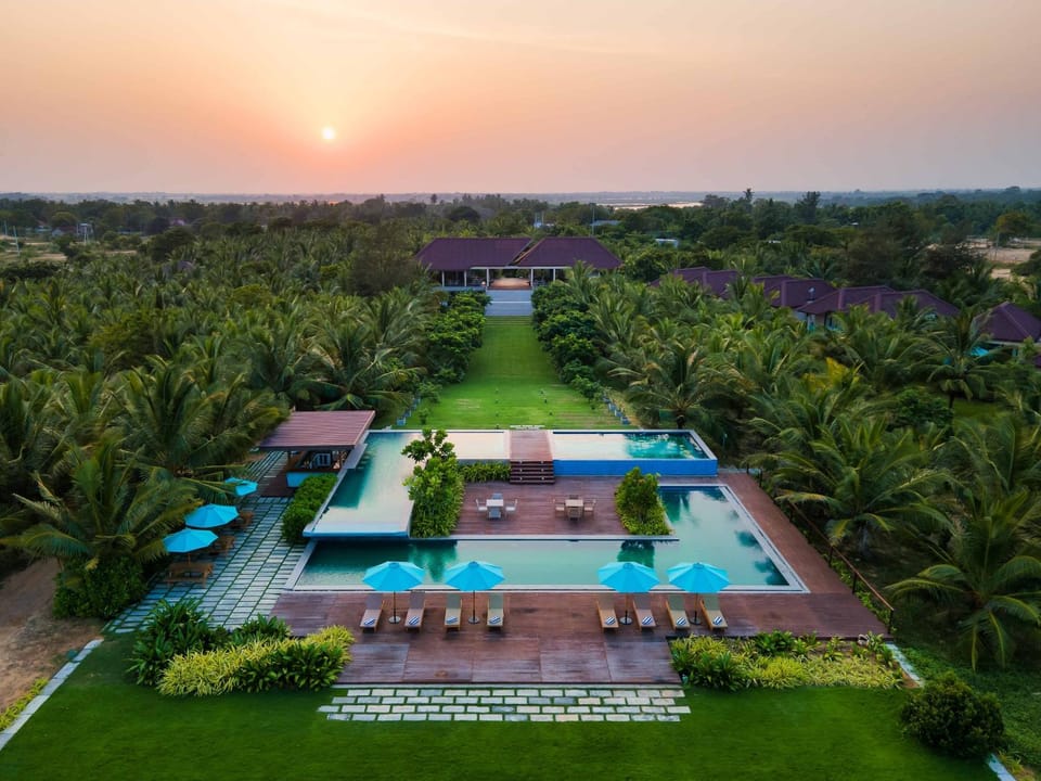 Day, Natural landscape, Garden view, Swimming pool, sunbed