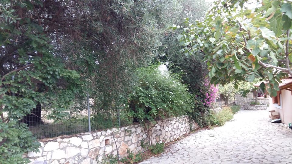Autumn, Garden view