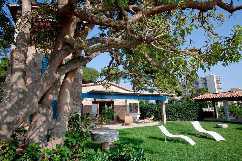 Patio, Facade/entrance, Day, Garden, On site, Garden view