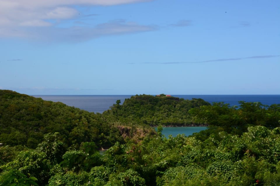 Garden, Garden view, Sea view