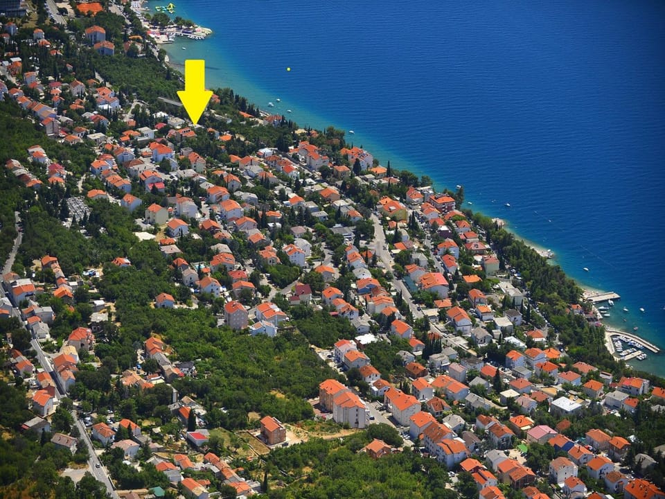 Bird's eye view, Location