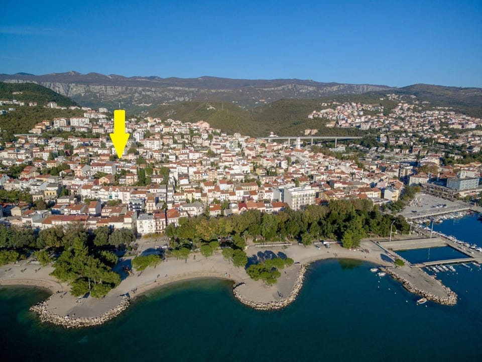 Bird's eye view, Location