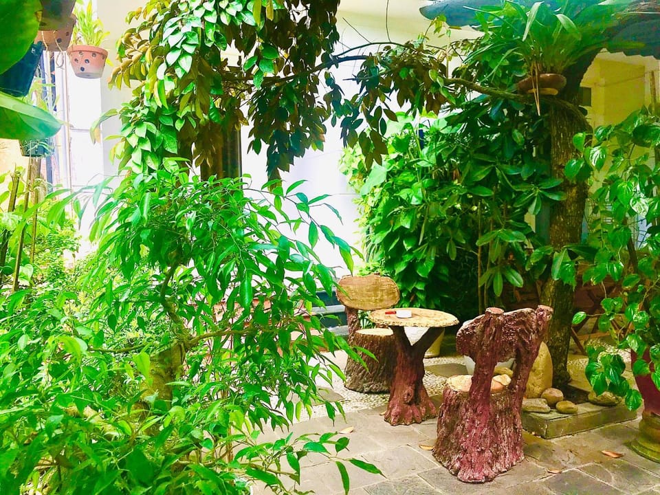 Spring, Natural landscape, Summer, Garden, Garden view, Inner courtyard view, Internal: Not applicable to any particular room