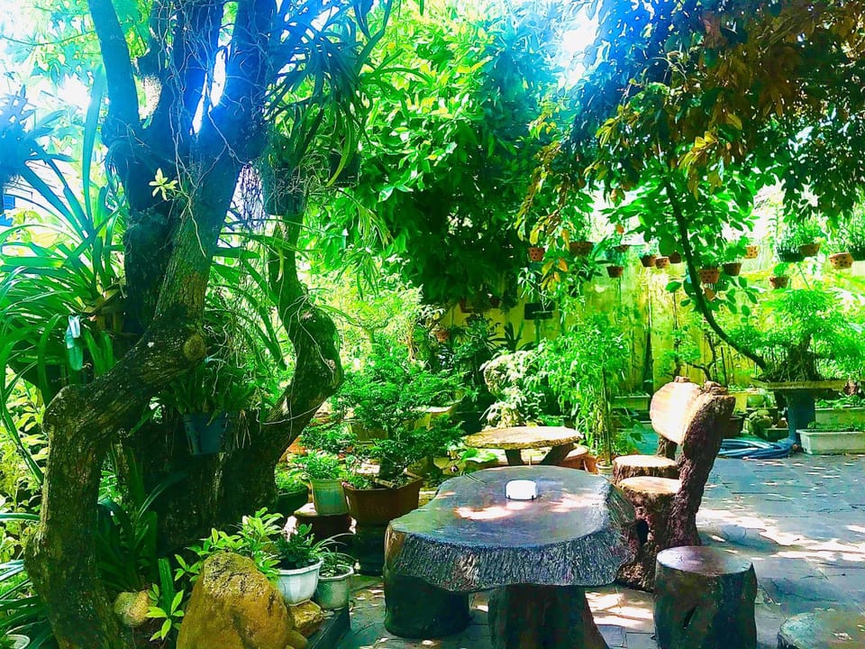 Spring, Natural landscape, Summer, Garden, Garden view, Inner courtyard view, Internal: Not applicable to any particular room