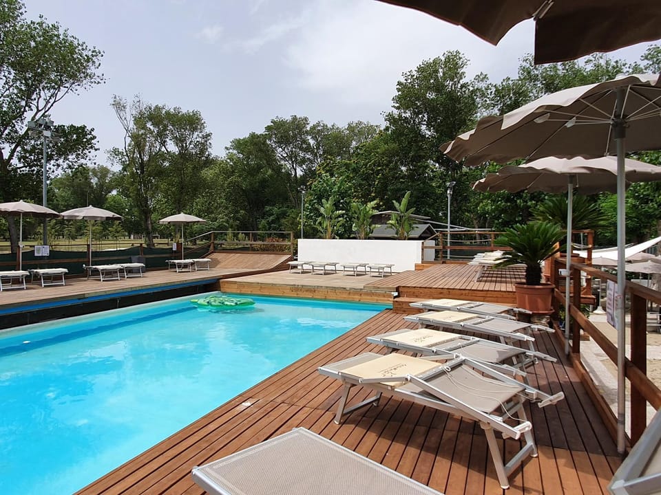 Day, Garden, Pool view, Swimming pool, sunbed