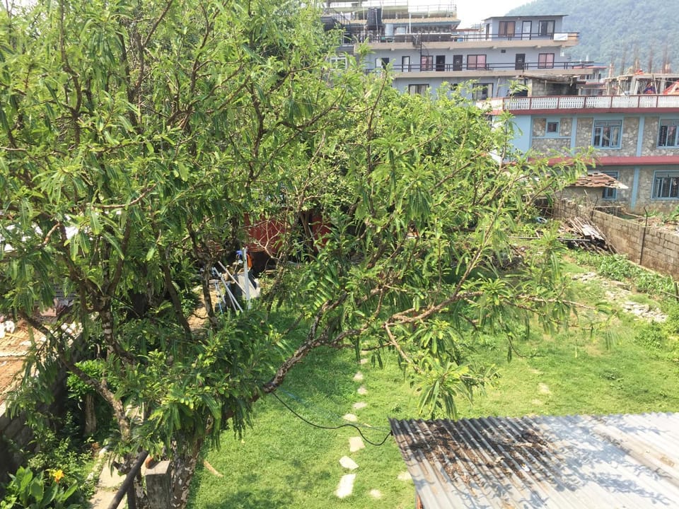 Garden, Balcony/Terrace, Garden view