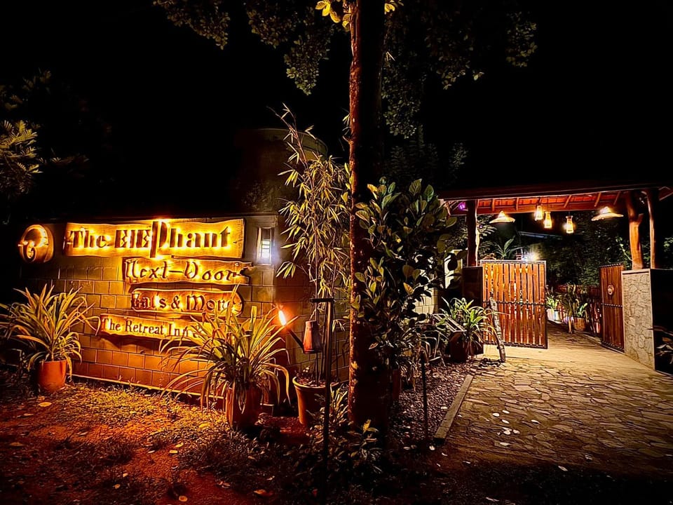 Night, Garden, Garden view