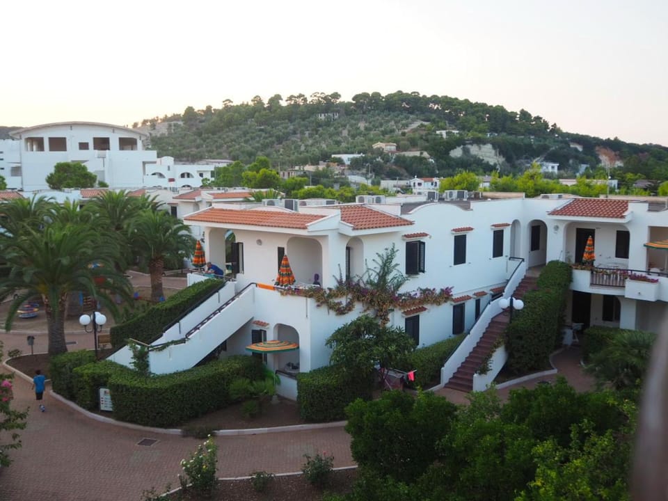 Patio, Garden, Garden view