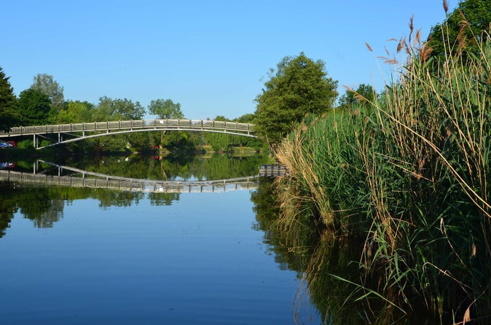 Natural landscape