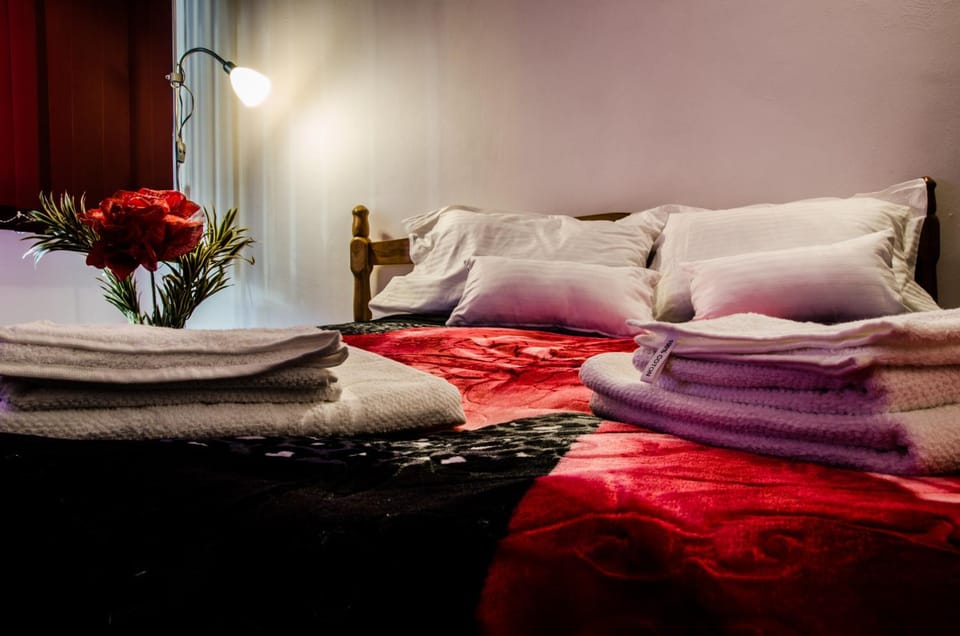 Pensiunea Georgibel Bed and Breakfast in Serbia
