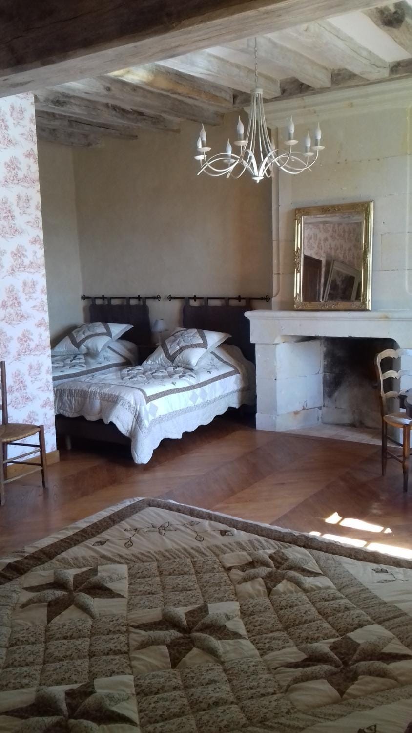 Manoir de La Fontaine Du Chêne Bed and Breakfast in Gennes-Val-de-Loire