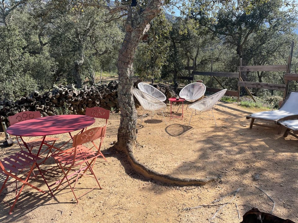 Au Soleil Mongol Bed and Breakfast in Argeles-sur-Mer