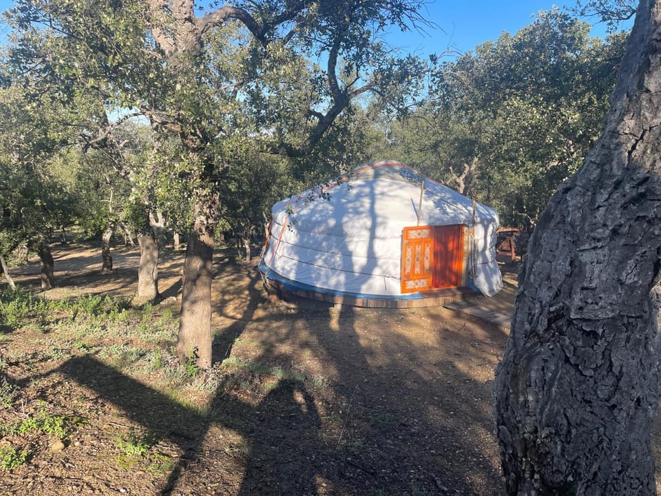 Au Soleil Mongol Bed and Breakfast in Argeles-sur-Mer