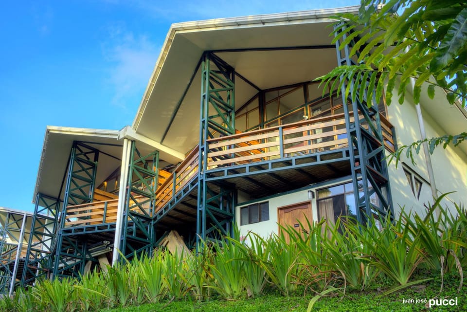 Property building, Facade/entrance, Garden