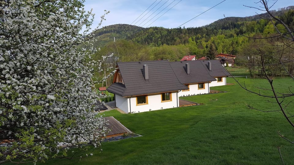 Property building, Spring, Day, Natural landscape, Garden, Garden view, Mountain view