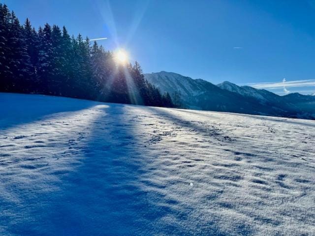 Neighbourhood, Natural landscape, Winter, Hiking, Hiking, Area and facilities
