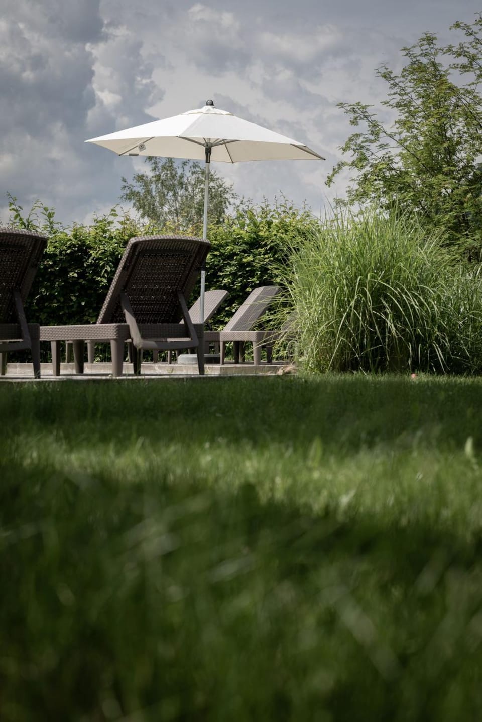 Natural landscape, Summer, Garden, Garden view, Swimming pool, sunbed