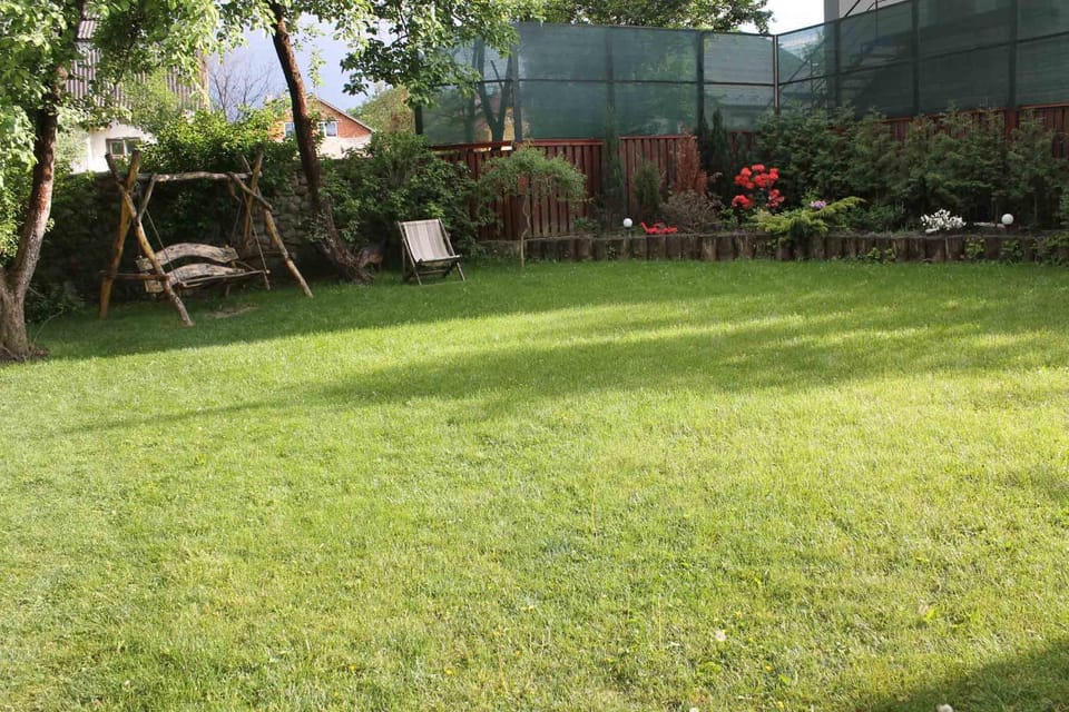 Natural landscape, Garden, Other, Inner courtyard view