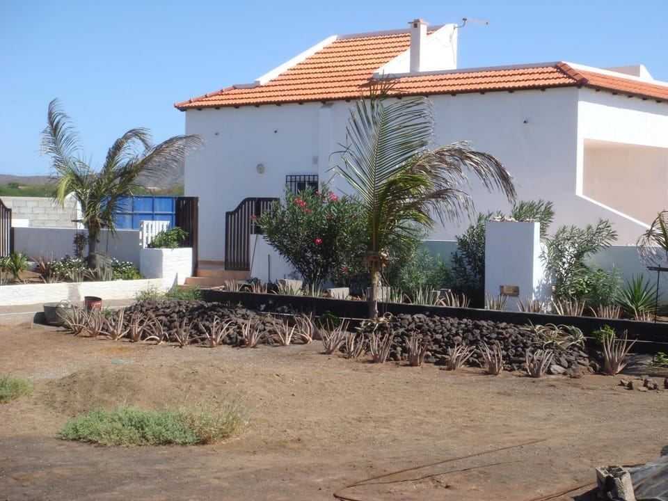 Property building, Garden view