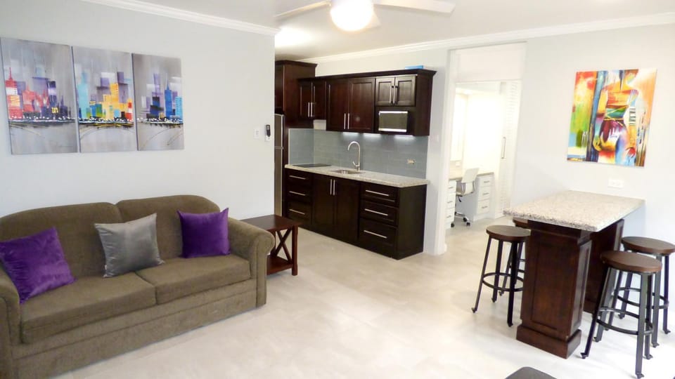 Kitchen or kitchenette, Living room, Seating area, Dining area