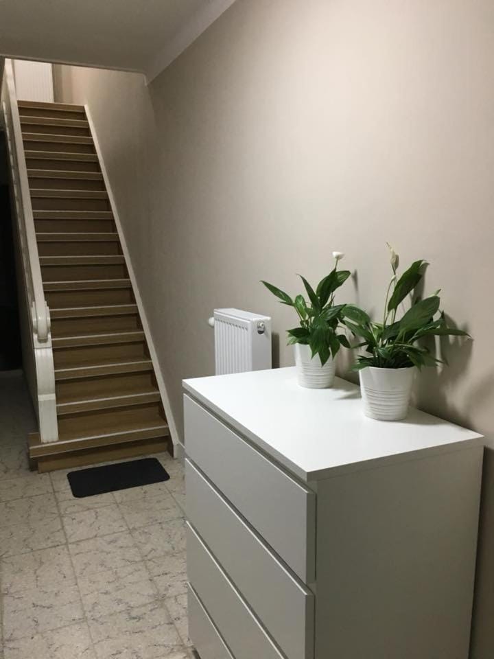 Hollandia City House House in Flanders