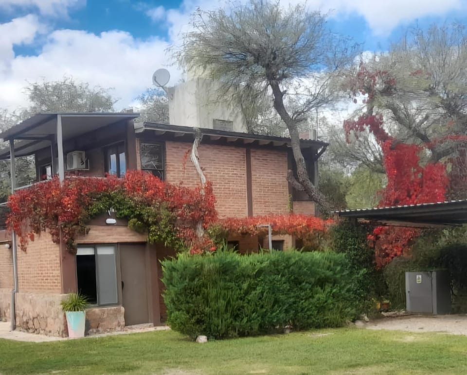 Property building, Garden view