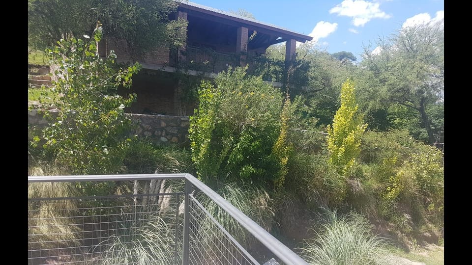 Balcony/Terrace, Garden view