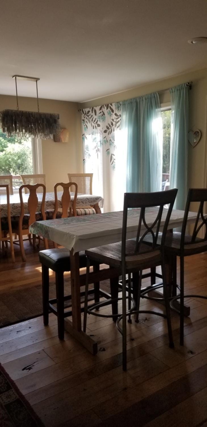 Amazing Views! Hunter Mt 5 Bedroom Home! Best location surrounded by beautiful Mt views! Enjoy Lakes, Ski Slopes & Firepit under Stars! House in Hudson Valley