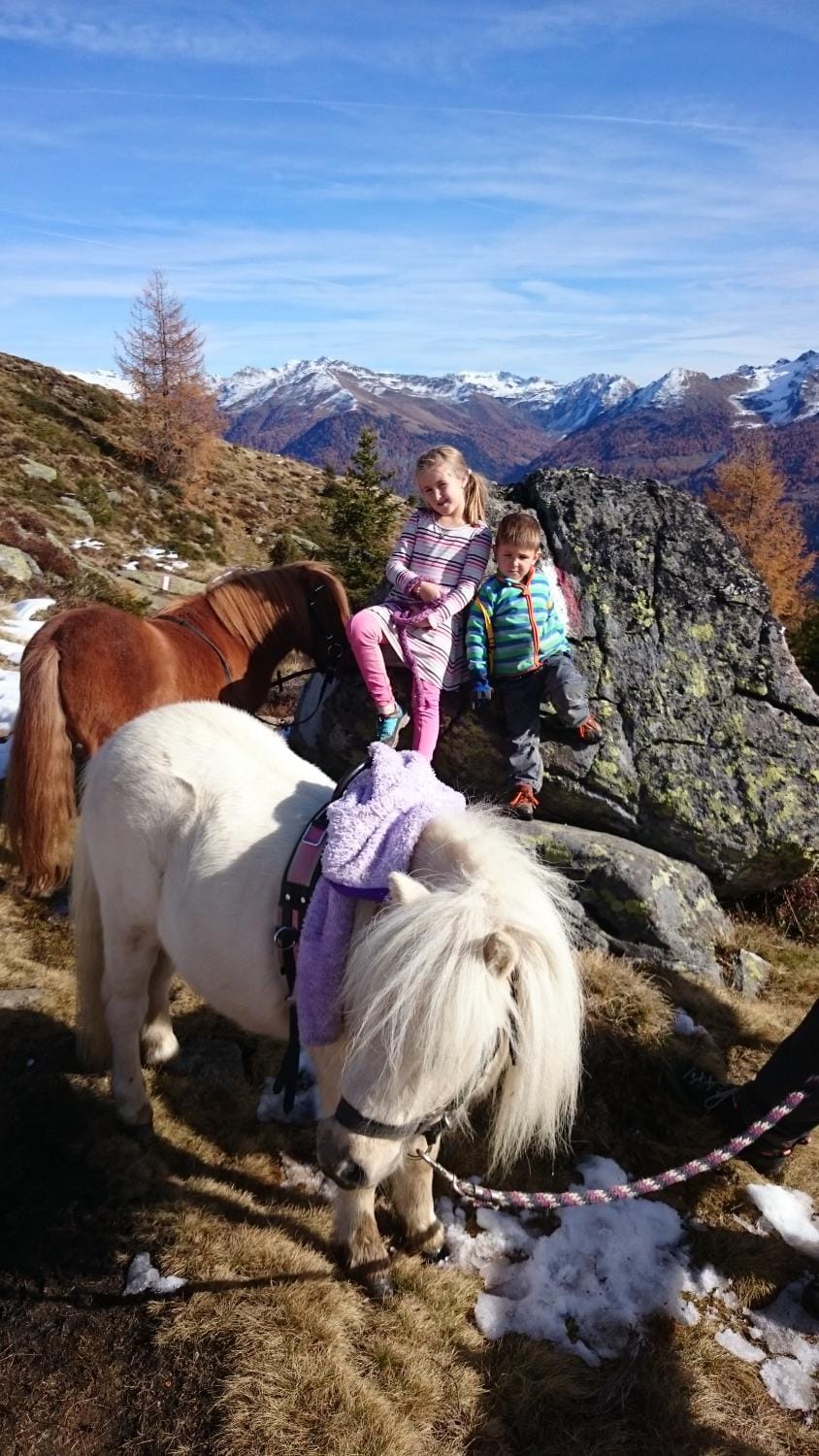 Ferienwohnung Suntinger Apartment in Carinthia, Austria