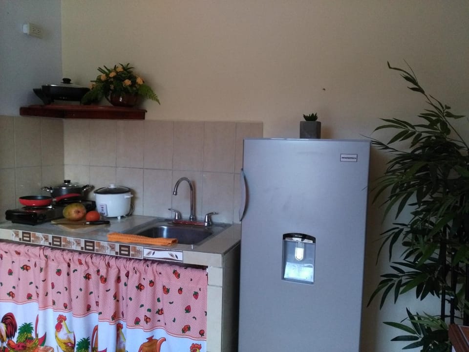 Arenal Thiago with Private Jacuzzi Apartment in La Fortuna