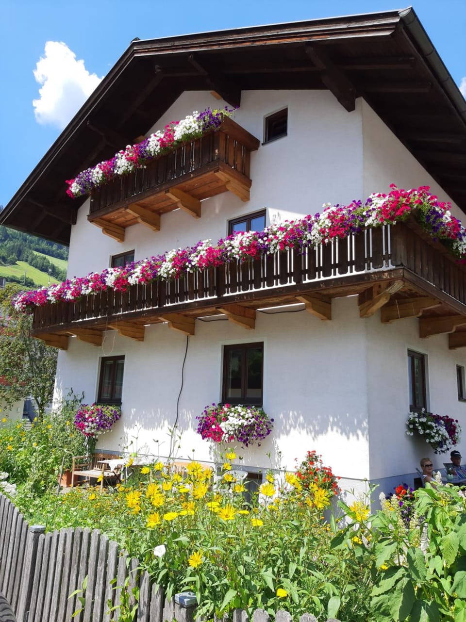 Property building, Summer