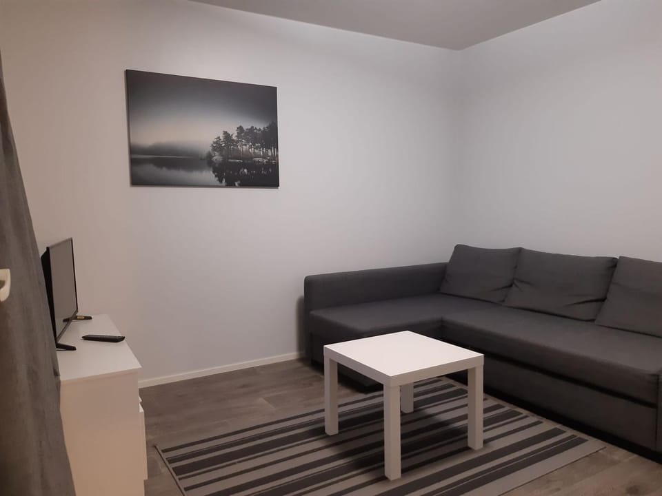 Kotipaljakka Apartment in Finland
