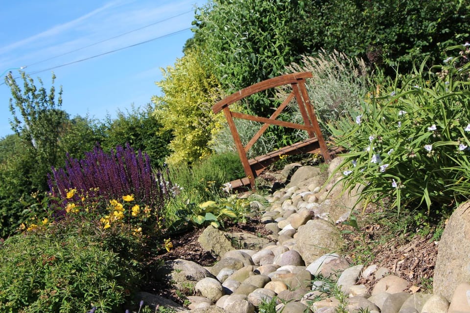 Spring, Day, Natural landscape, Garden, Garden view
