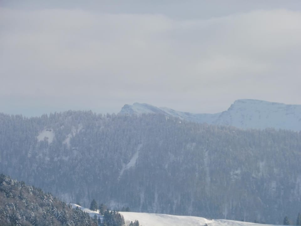 Grün und herzlich Apartment in Oberstaufen